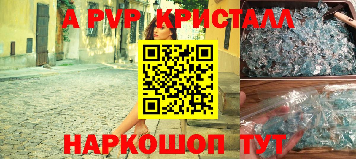 A PVP СК КРИС Нефтекумск