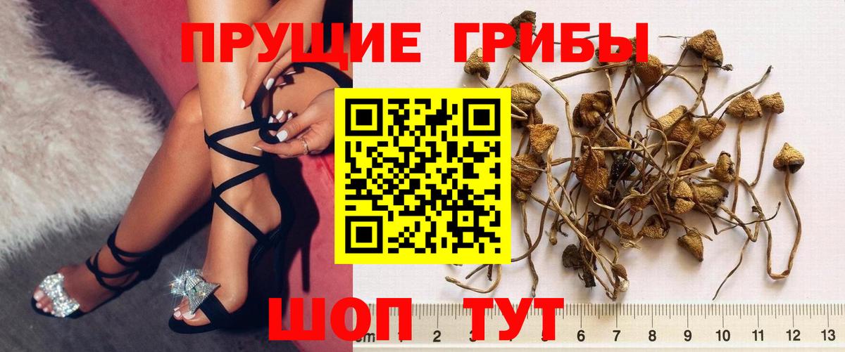 Нефтекумск  купить   Вход с VPN  Галлюциногенные грибы мухоморы 